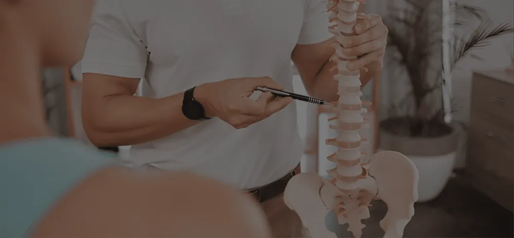 Specialist explaining the spine on a model